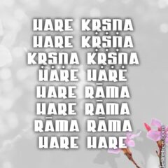 Hare Krishna Maha Mantra 054