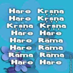 Hare Krishna Maha Mantra 055