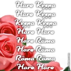 Hare Krishna Maha Mantra 056