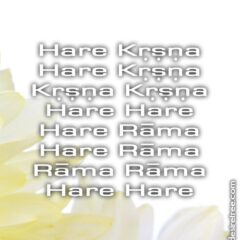 Hare Krishna Maha Mantra 059