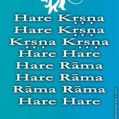 Hare Krishna Maha Mantra 063