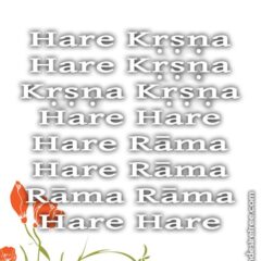 Hare Krishna Maha Mantra 065