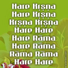 Hare Krishna Maha Mantra 071