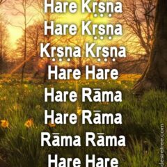 Hare Krishna Maha Mantra 110