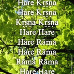 Hare Krishna Maha Mantra 112