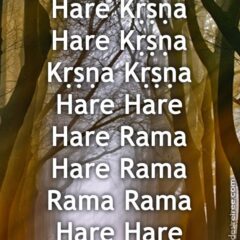 Hare Krishna Maha Mantra 113