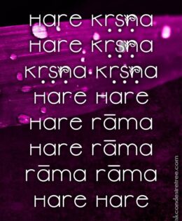 Hare Krishna Maha Mantra 164