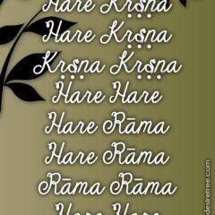 Hare Krishna Maha Mantra 168