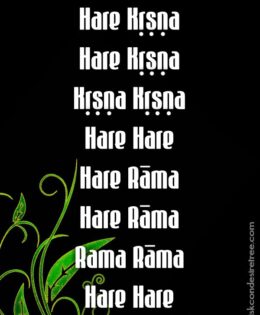 Hare Krishna Maha Mantra 176