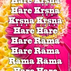 Hare Krishna Maha Mantra 177