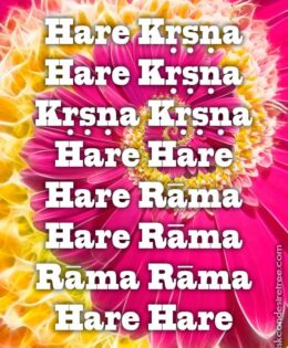 Hare Krishna Maha Mantra 177