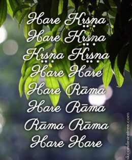 Hare Krishna Maha Mantra 178