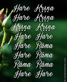 Hare Krishna Maha Mantra 190