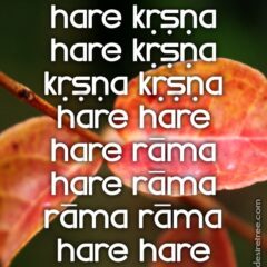 Hare Krishna Maha Mantra 191