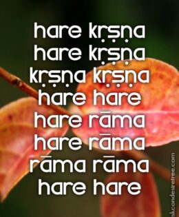 Hare Krishna Maha Mantra 191