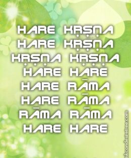 Hare Krishna Maha Mantra 192