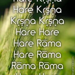 Hare Krishna Maha Mantra 193