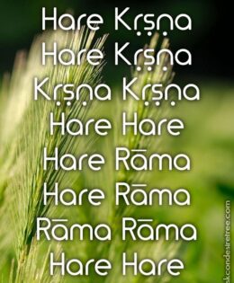 Hare Krishna Maha Mantra 193