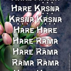 Hare Krishna Maha Mantra 196