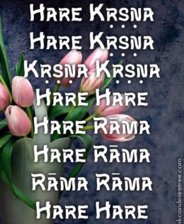 Hare Krishna Maha Mantra 196