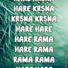 Hare Krishna Maha Mantra 198