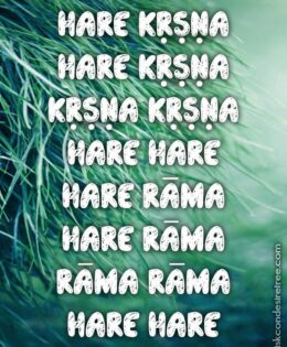 Hare Krishna Maha Mantra 198