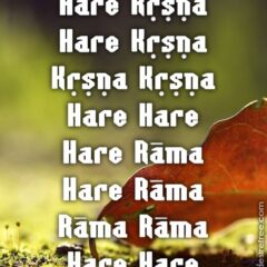 Hare Krishna Maha Mantra 202