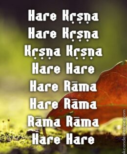 Hare Krishna Maha Mantra 202