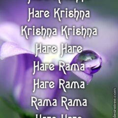 Hare Krishna Maha Mantra 204