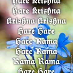 Hare Krishna Maha Mantra 206