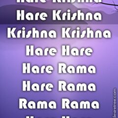 Hare Krishna Maha Mantra 207