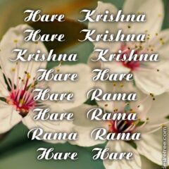 Hare Krishna Maha Mantra 208