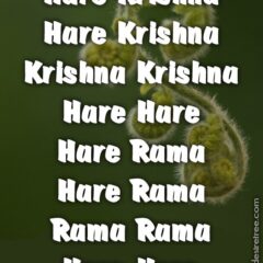 Hare Krishna Maha Mantra 210