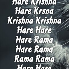 Hare Krishna Maha Mantra 211