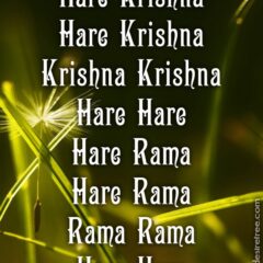 Hare Krishna Maha Mantra 212