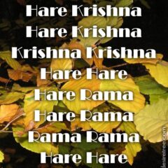 Hare Krishna Maha Mantra 213