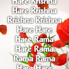 Hare Krishna Maha Mantra 215