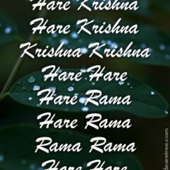 Hare Krishna Maha Mantra 216