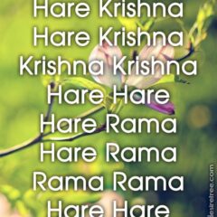 Hare Krishna Maha Mantra 217