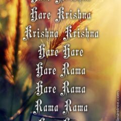 Hare Krishna Maha Mantra 220