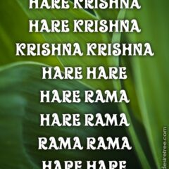 Hare Krishna Maha Mantra 228