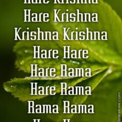 Hare Krishna Maha Mantra 229