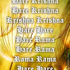 Hare Krishna Maha Mantra 231