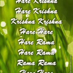 Hare Krishna Maha Mantra 263