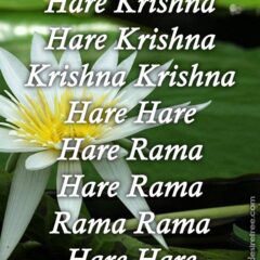 Hare Krishna Maha Mantra 266