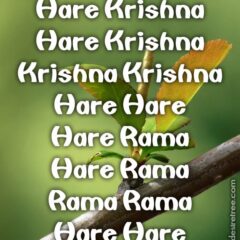 Hare Krishna Maha Mantra 267