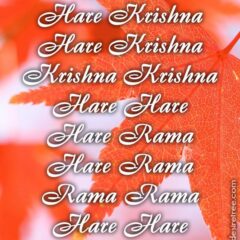 Hare Krishna Maha Mantra 269