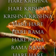 Hare Krishna Maha Mantra 270