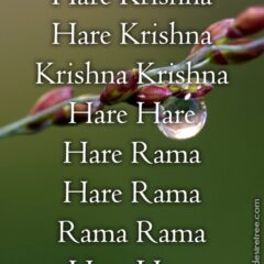 Hare Krishna Maha Mantra 271