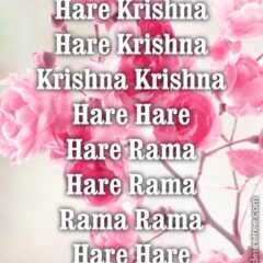 Hare Krishna Maha Mantra 275